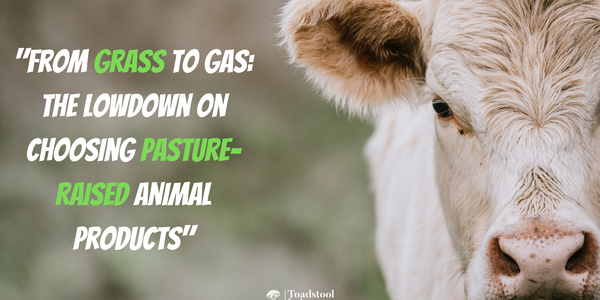 "From Grass to Gas: The Lowdown on Choosing Pasture-Raised Animal Products"