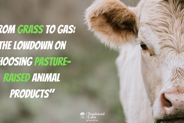 "From Grass to Gas: The Lowdown on Choosing Pasture-Raised Animal Products"