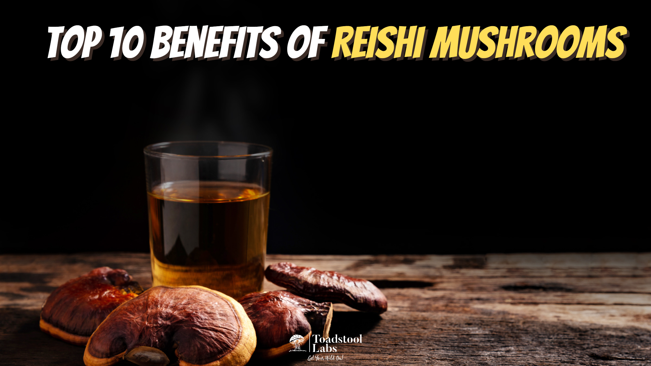 Top 10 Benefits Of Reishi Mushrooms – Toadstoollabs