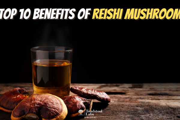 Top 10 Benefits of Reishi Mushrooms