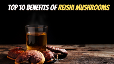 Top 10 Benefits of Reishi Mushrooms