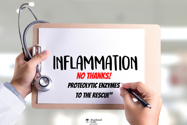 "Inflammation? No thanks! Proteolytic enzymes to the rescue"