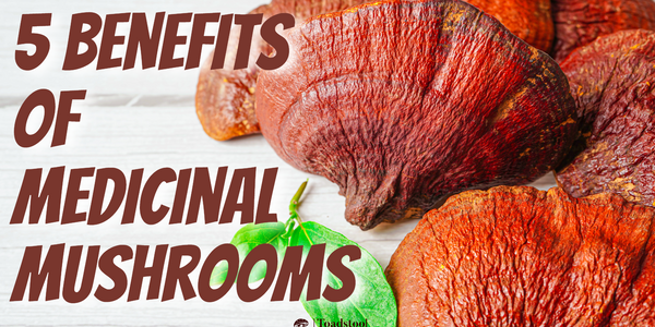 5 Benefits of Medicinal Mushrooms.