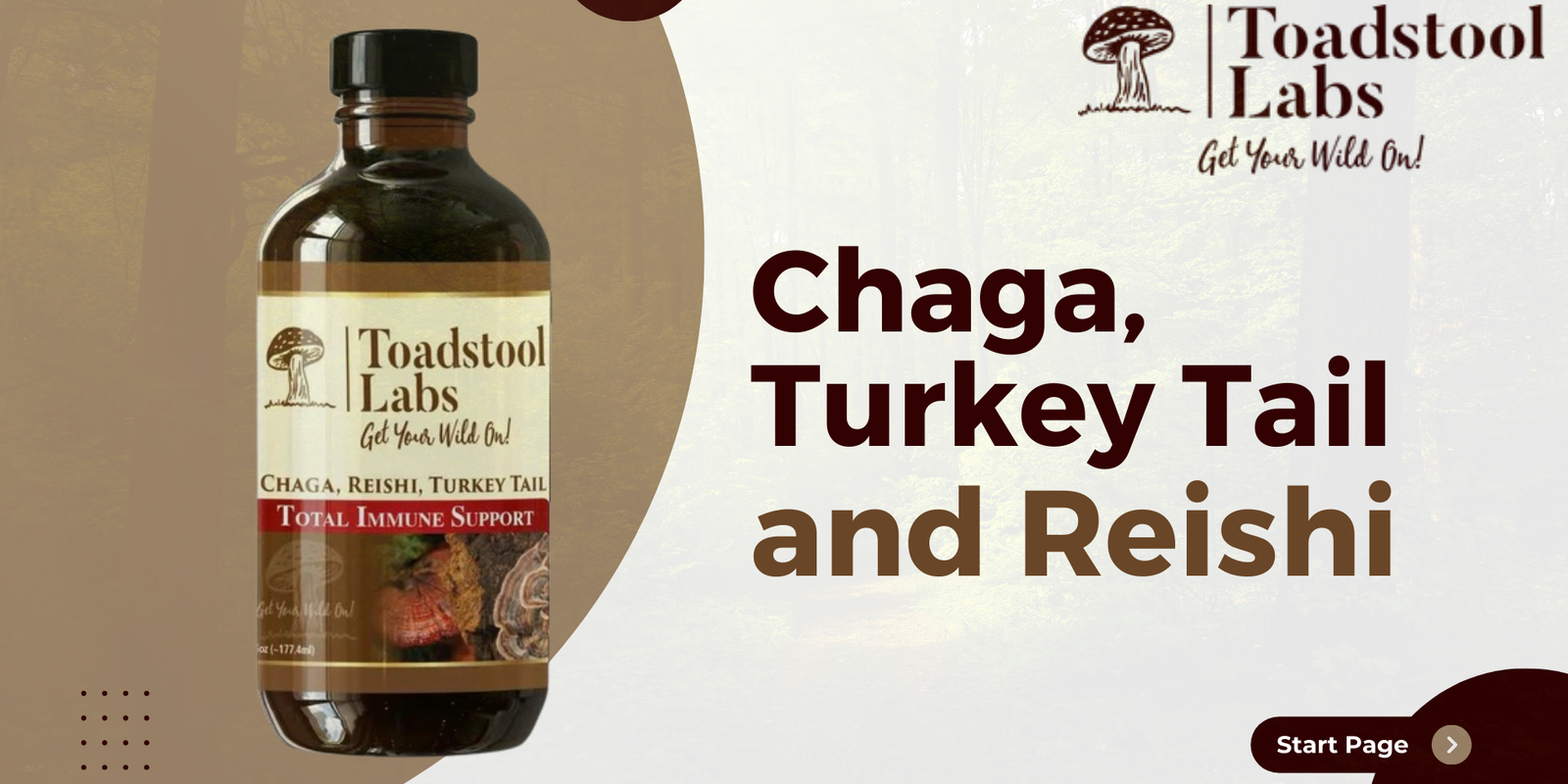 Unlock the Power of Medicinal Mushrooms: Health Benefits of Chaga, Turkey Tail, and Reishi