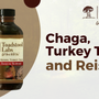 Unlock the Power of Medicinal Mushrooms: Health Benefits of Chaga, Turkey Tail, and Reishi