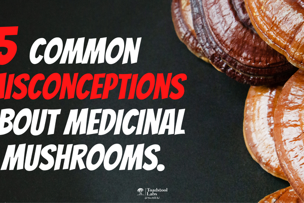 5 Common Misconceptions about Medicinal