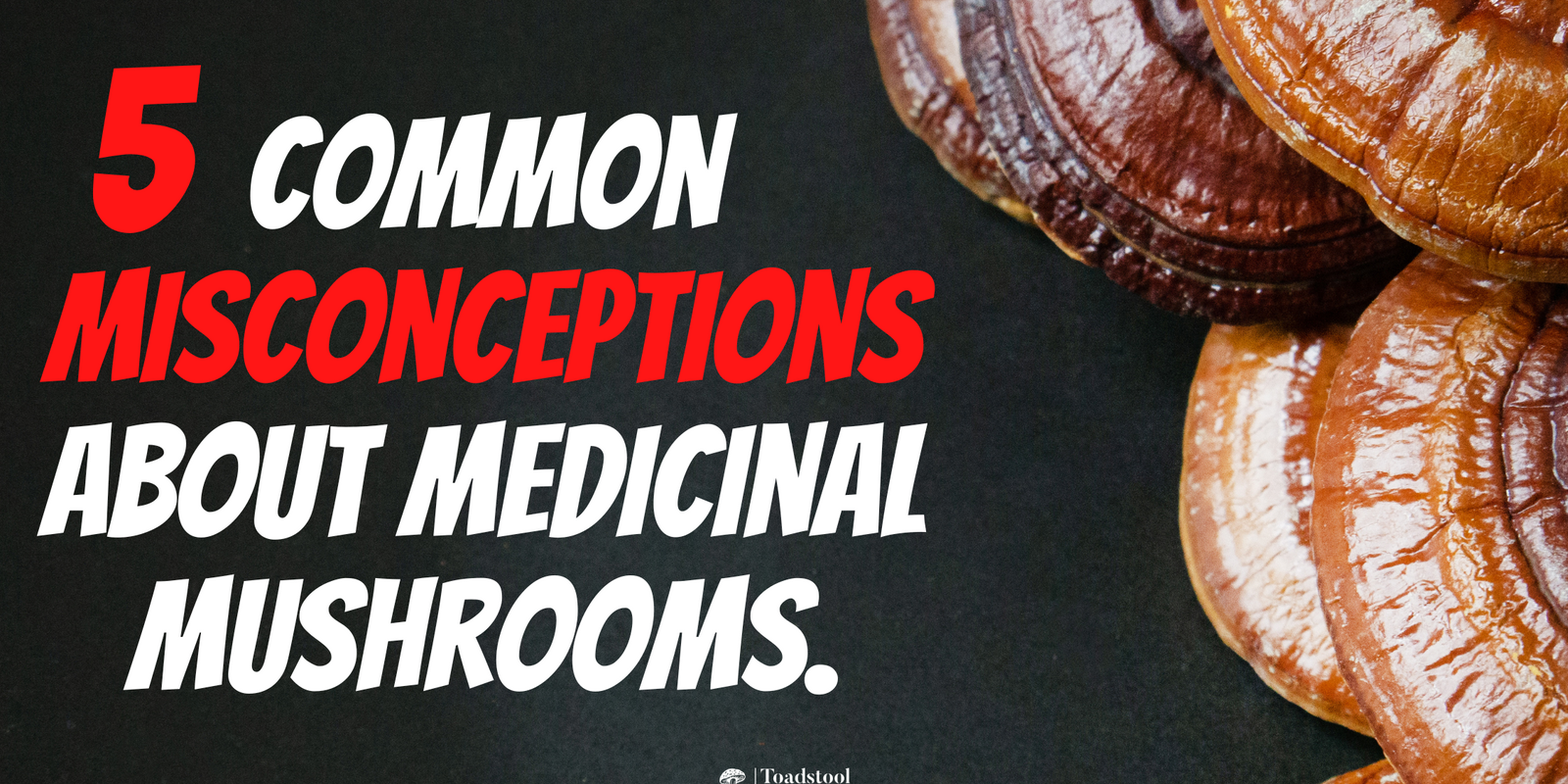 5 Common Misconceptions about Medicinal