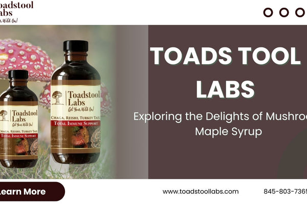 Exploring the Delights of Mushroom Maple Syrup