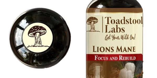Lion's Mane Herbal Supplement