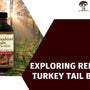 From Forest to Health: Exploring Reishi and Turkey Tail Benefits