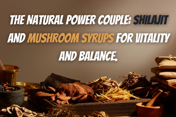 The Natural Power Couple: Shilajit and Mushroom Syrups for Vitality and Balance