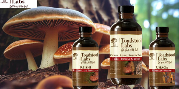 Get healthy with organic products with Taodstool labs