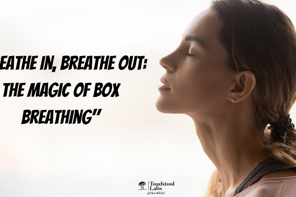 "Breathe in, Breathe out: The Magic of Box Breathing"