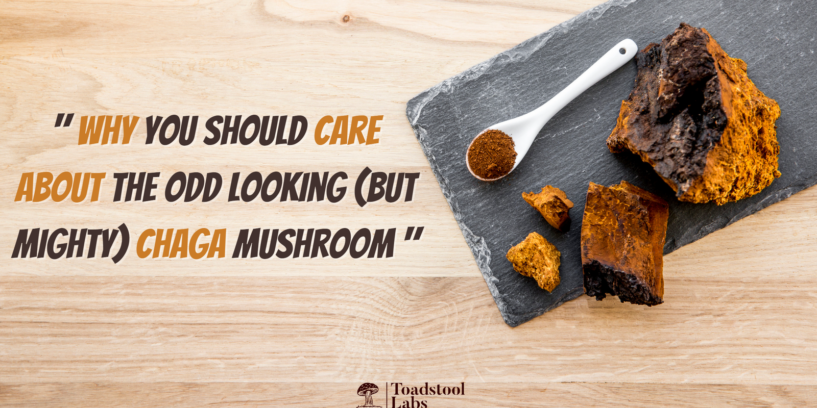 "Why You Should Care About the odd looking (But Mighty) Chaga Mushroom"