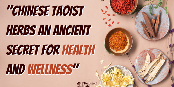 "Chinese Taoist Herbs an Ancient Secret for Health and Wellness"
