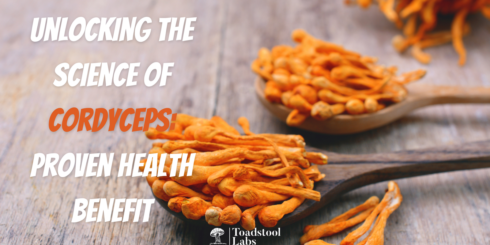 Unlocking the Science of Cordyceps: Proven Health Benefit