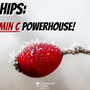 Rose Hips: The Vitamin C Powerhouse!