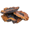 Chaga Mushrooms: