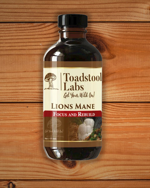 Lion's Mane Mushroom Capsules USA