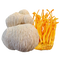 Lion’s Mane and Cordyceps Mushrooms:
