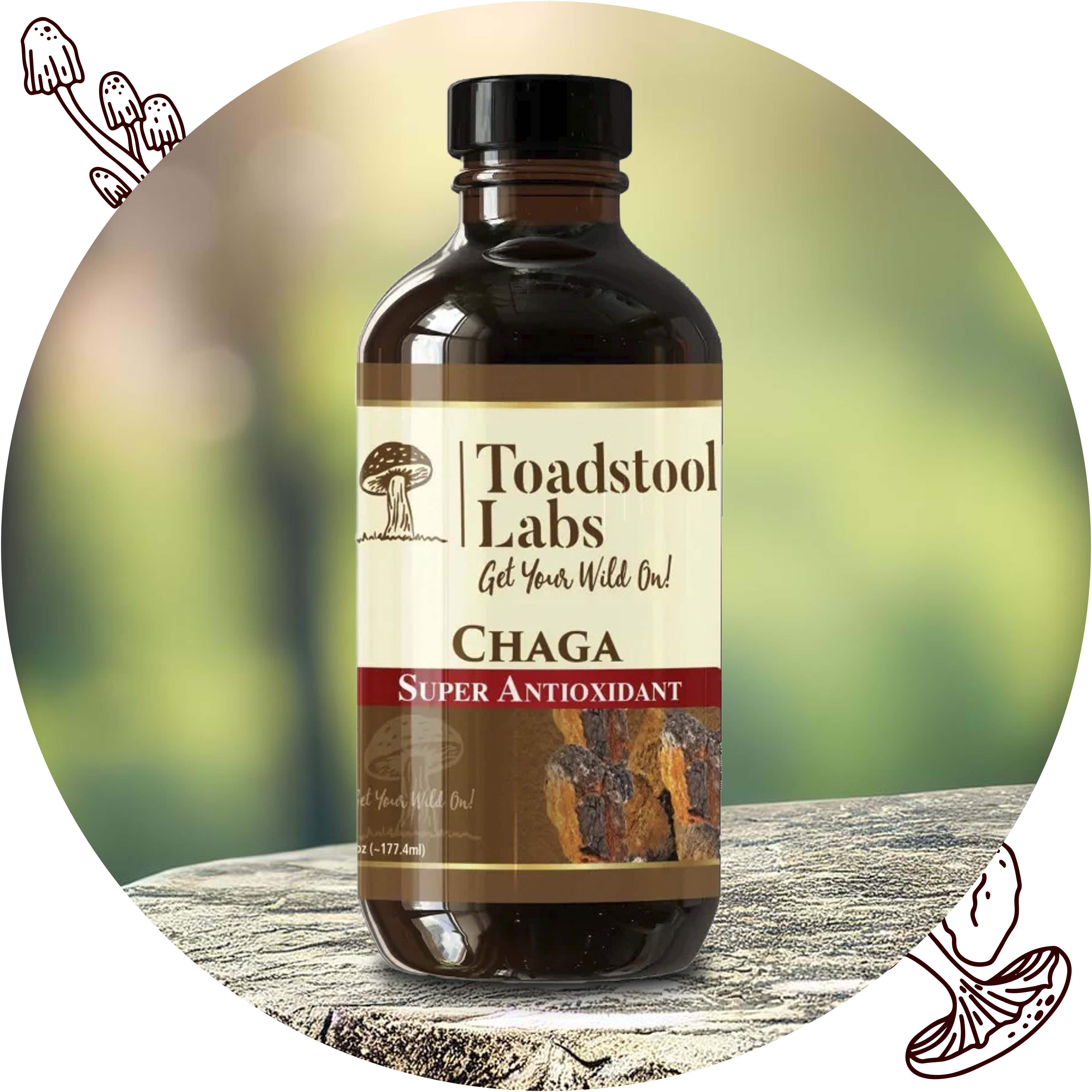 chaga and turkey tail USA